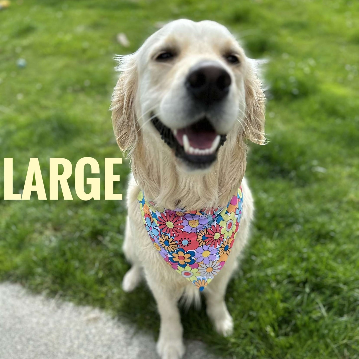 Large Pet Bandanas