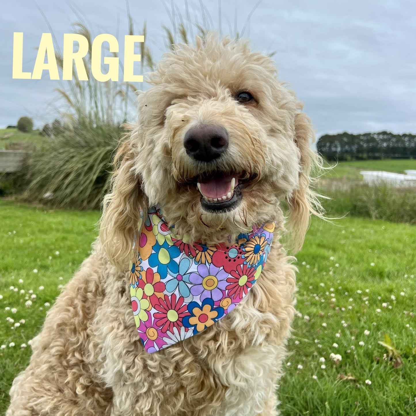 Large Pet Bandanas
