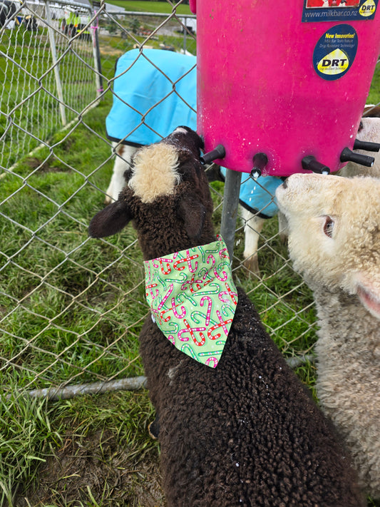 Small Pet Bandanas