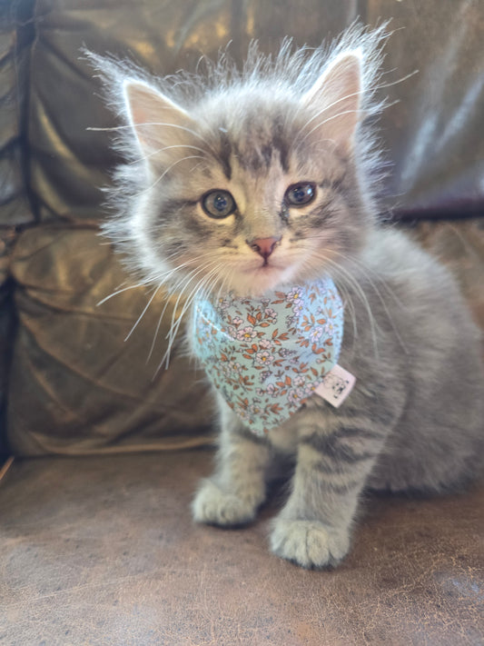 XXSmall Pet Bandanas